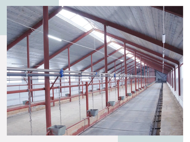 Строительство коровников в Похвистневе от 615 руб.