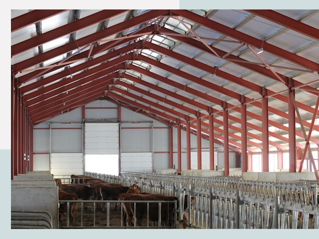 Строительство коровников в Похвистневе