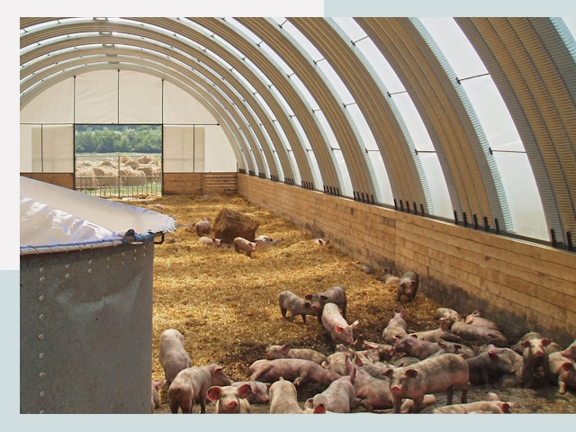 Строительство свинарников в Похвистневе