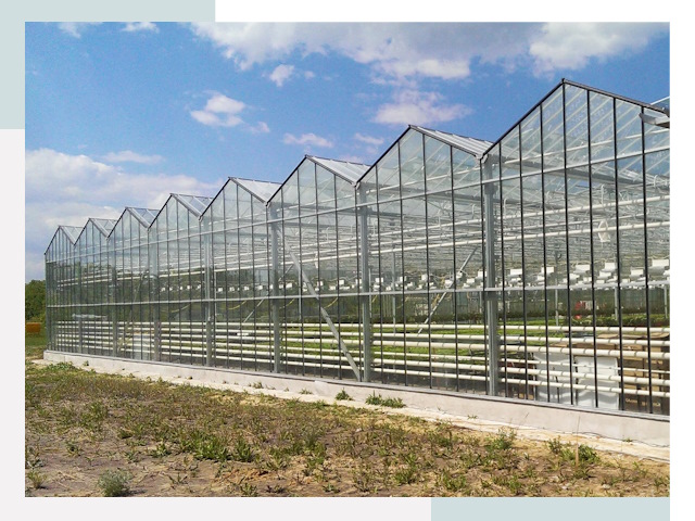 Строительство теплиц в Похвистнево от 615 руб. за м²