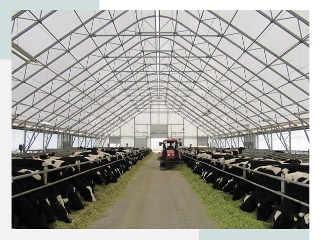 Тентовые коровники в Похвистневе от 615 руб. - Надежно и доступно