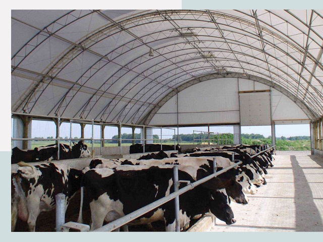 Тентовые коровники в Похвистневе